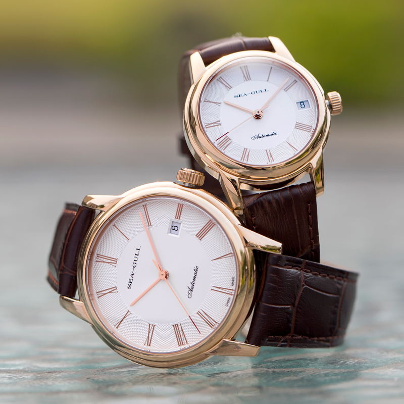 Seagull männer Mechanische Uhr – Seiko Watch Presage Bewertung und Preis