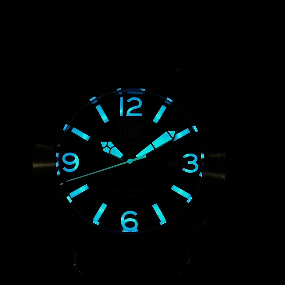 Steeldive 2025 Uhr SD1912, Übe – Seiko Watch Prospex Bewertung und Preis