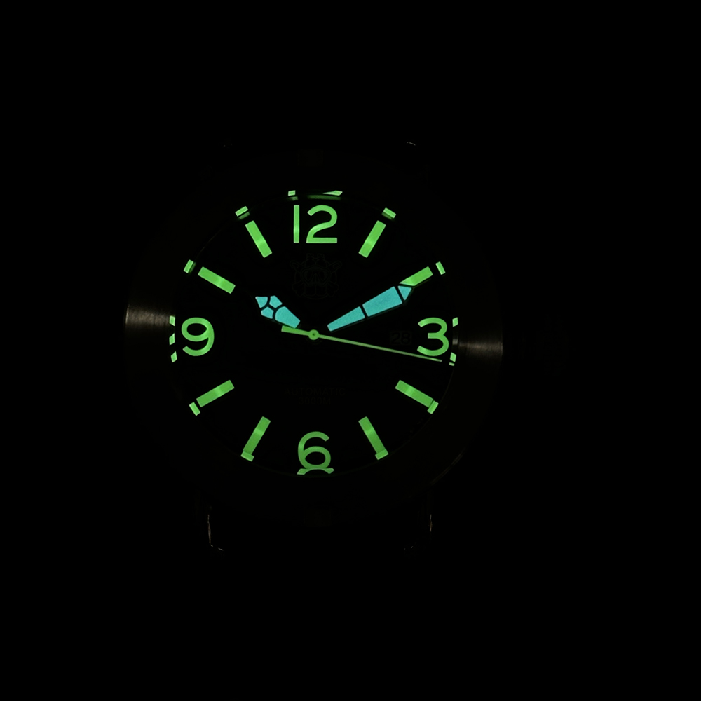 Steeldive 2025 Uhr SD1912, Übe – Seiko Watch Prospex Bewertung und Preis