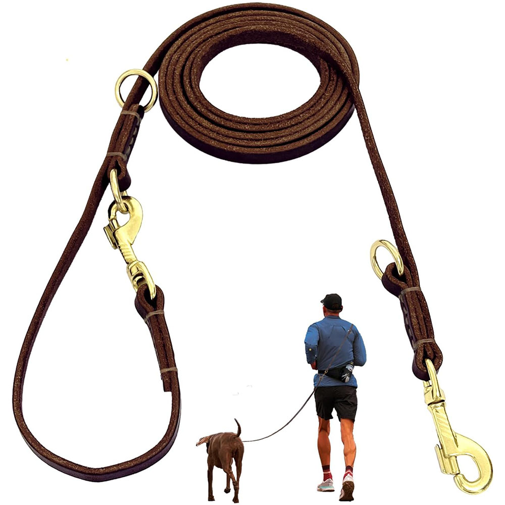 Multifunktionale Leder-Hundele – Leather Strap Quick Release Bewertung und Preis