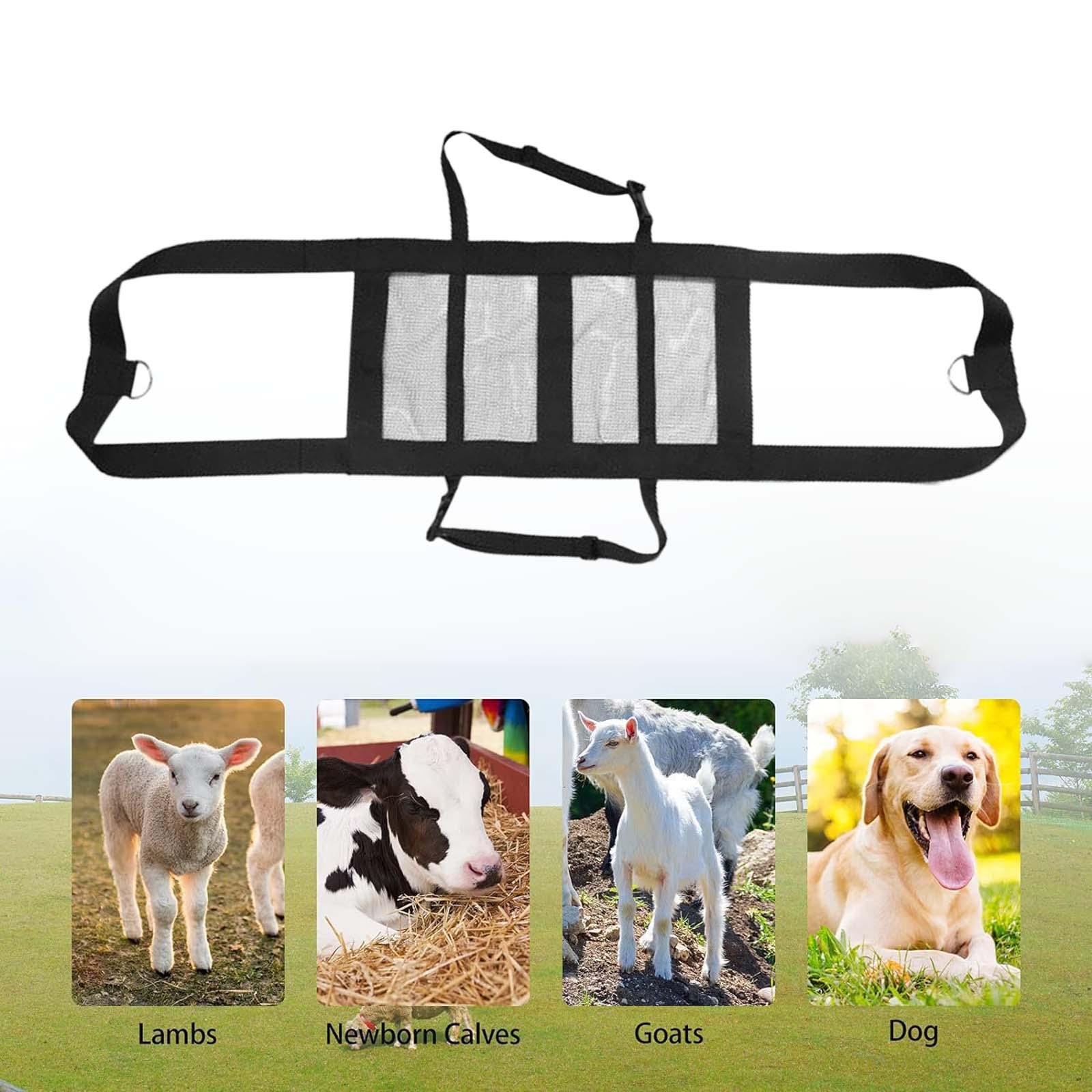 Kalbs-Trageschlinge mit Gewich – Mesh Strap Metal Bewertung und Preis