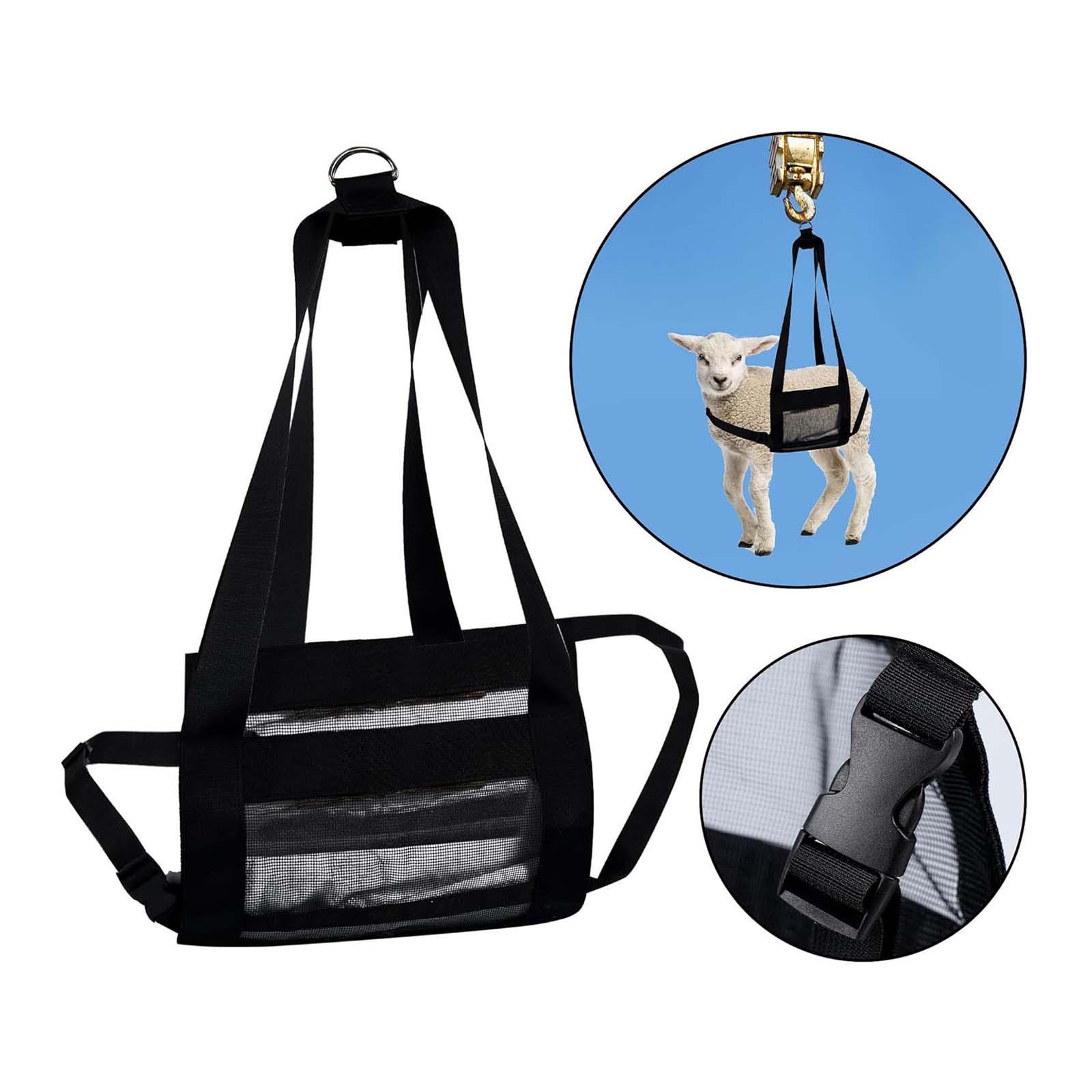 Kalbs-Trageschlinge mit Gewich – Mesh Strap Metal Bewertung und Preis