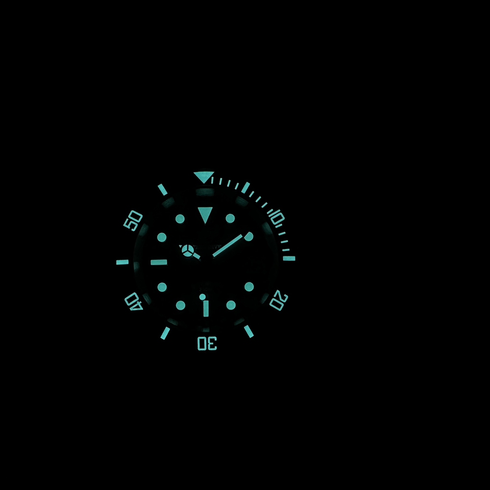 Steeldive Neue Uhr SD1953C Wat – Seiko Watch Prospex Bewertung und Preis